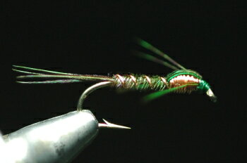 フェザントテイル　ニンフ　カッパー＆レッグ　グリーン