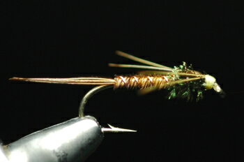 フェザントテイル　ニンフ　ピーコック＆レッグ　イエロー