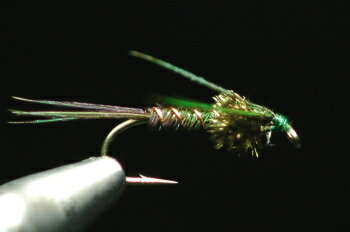 フェザントテイル　ニンフ　ピーコック＆レッグ　グリーン