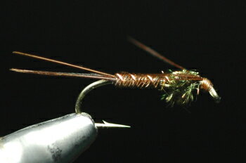 フェザントテイル　ニンフ　ピーコック＆レッグ　ブラウン