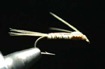 フェザントテイル ニンフ カッパー&レッグ ブリーチ