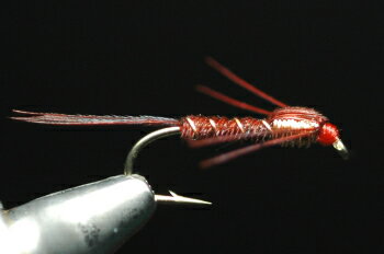 フェザントテイル　ニンフ　カッパー＆レッグ　レッド