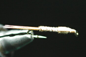 フェザントテイル　ニンフ　オールフェザント　ブリーチ 2