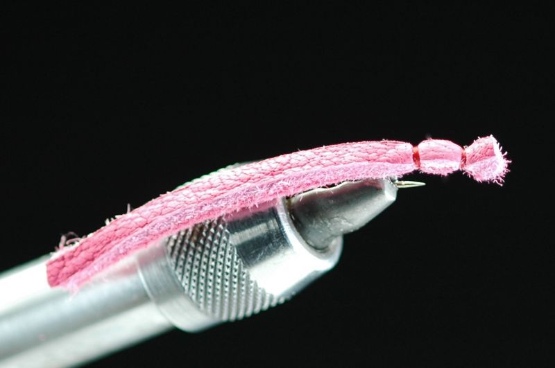 ¨Ǽ���̡��ɥ롡�饺�٥꡼��5���������12