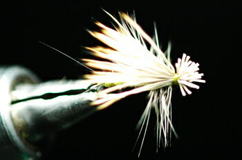 �إ������󥰥��󡡥ʥ����롡���꡼��