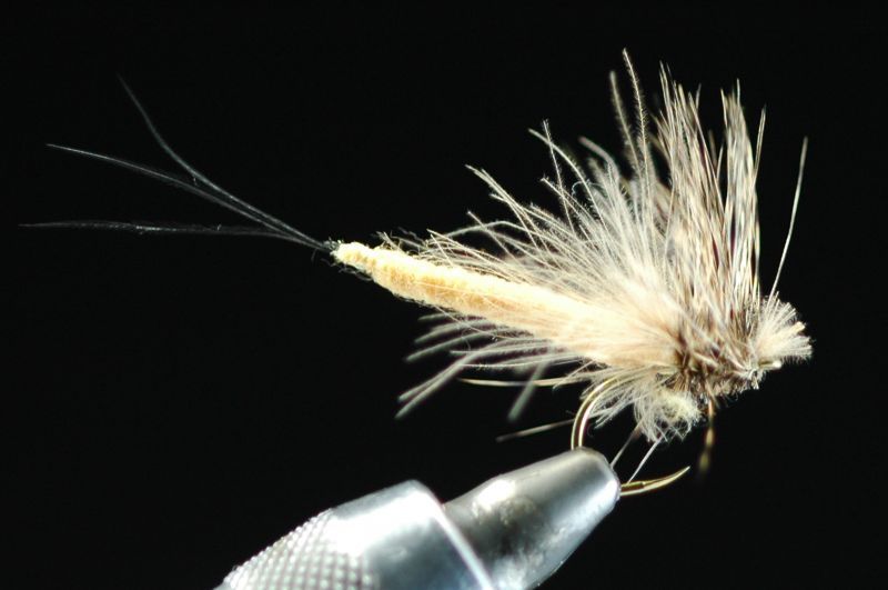 シマザキ　ソフトドレイク　＃10　＃12 fix