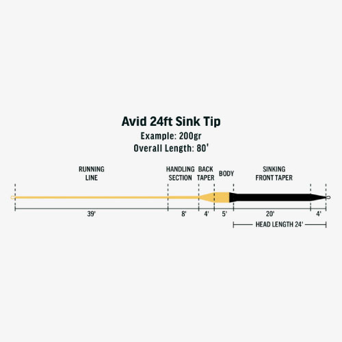 RIO �ꥪ Avid 24ft Sink Tip