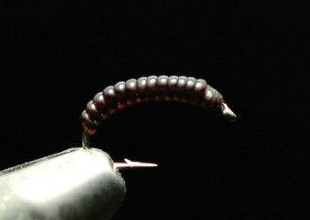 ラーバ チョコブラウン