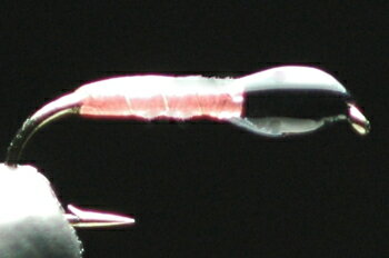 ユスリカピューパ　ピンク