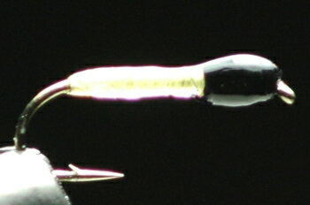 ユスリカピューパ　ライトケイヒル