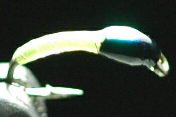 FH（フラッシュヘッド）ユスリカピューパ　チャートリュース