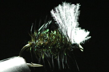 CDCクラスターミッジ ブラック