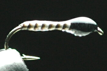 ユスリカピューパ　ストリップド