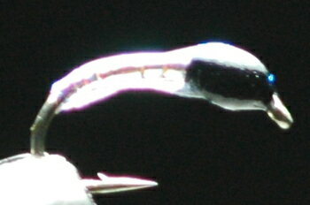 ミラージュピューパ　カーブ