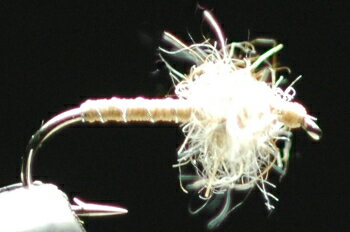 ヘアズイヤーピューパ　タン/ナチュラル