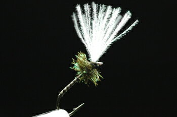 CDCミッジピューパ　ストリップド/ハール