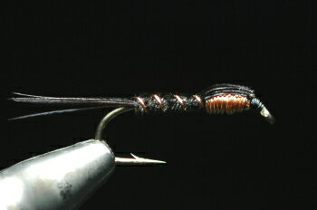 若虫式毛鉤 - フェザントテイル　ニンフ　カッパー　ブラック