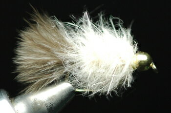 GB（ゴールドビーズ）MSC　ニンフ　ライトケイヒル