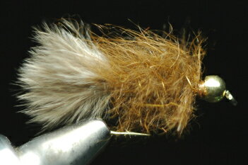 GB（ゴールドビーズ）MSC ニンフ チョコレートブラウン