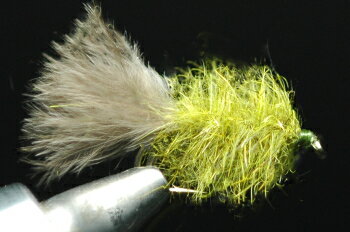 MSCニンフ　オリーブヘアズイヤー