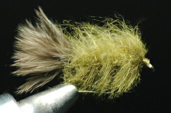 MSCニンフ オリーブブラウン