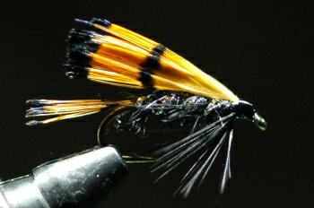 ティペット＆ブラック