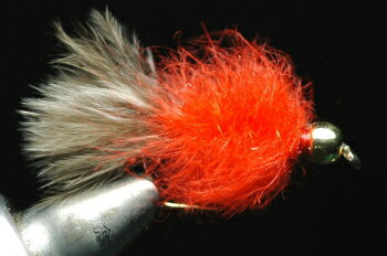 GB（ゴールドビーズ）MSC　ニンフ　レッド