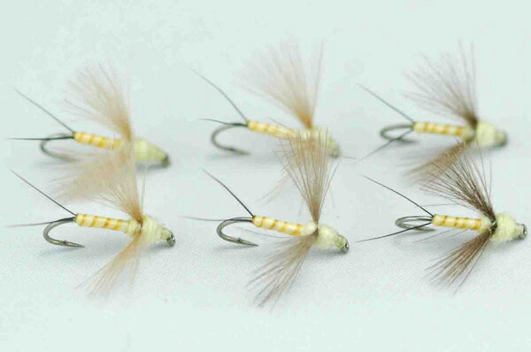 CDC���ԥʡ����ڡ��륤��������������ܥǥ���#18��6�ܥ��å�