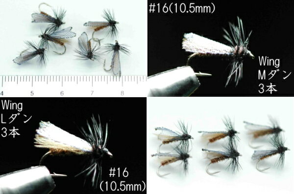 CDCクロカワゲラ　#16　6本セット