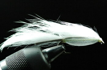 シースルーゾンカー　ホワイト