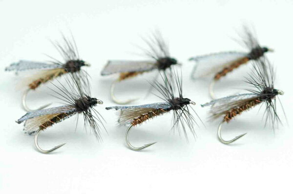 CDC�������沈�顡#14��6�ܥ��å�