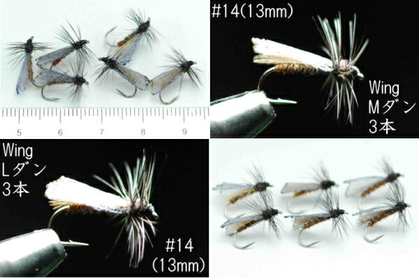 CDCクロカワゲラ　#14　6本セット