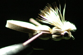 ホッパー　ブラウン