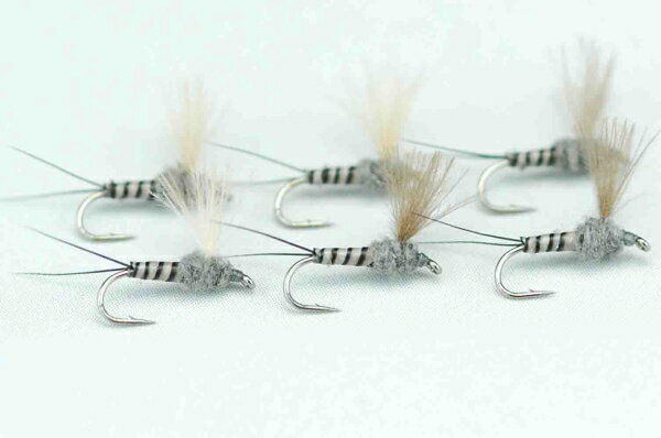 CDC���󡡥ޥ�����åȥ��졼��������ܥǥ���#20��6�ܥ��å�