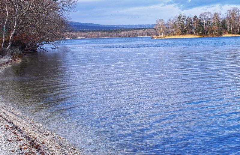 阿寒湖　ワカサギ　フローティング（横浮き）　2本セット