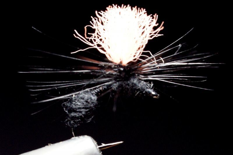 渋谷直人 シブヤ パラシュートアント