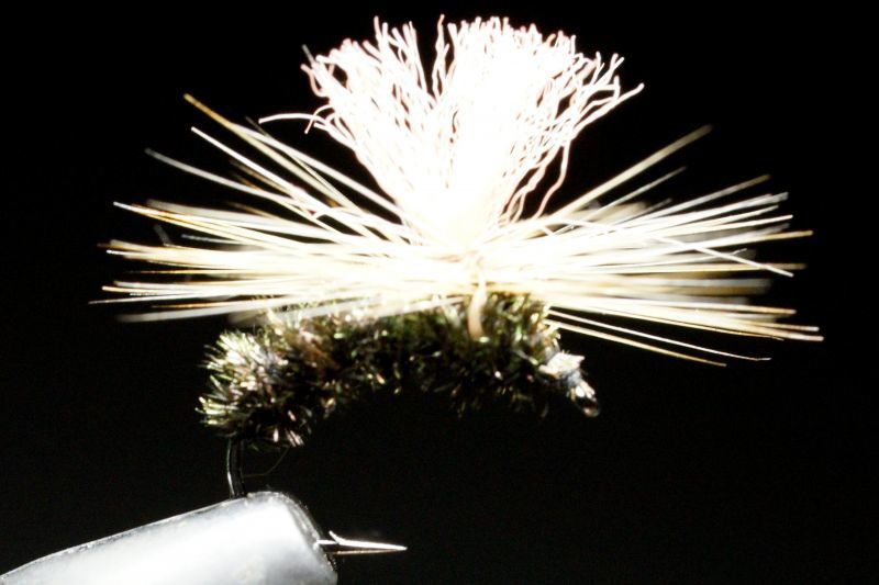 渋谷直人 シブヤ ビートルパラシュート