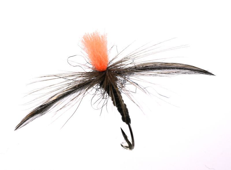 渋谷直人 北海べんじょ☆アブ