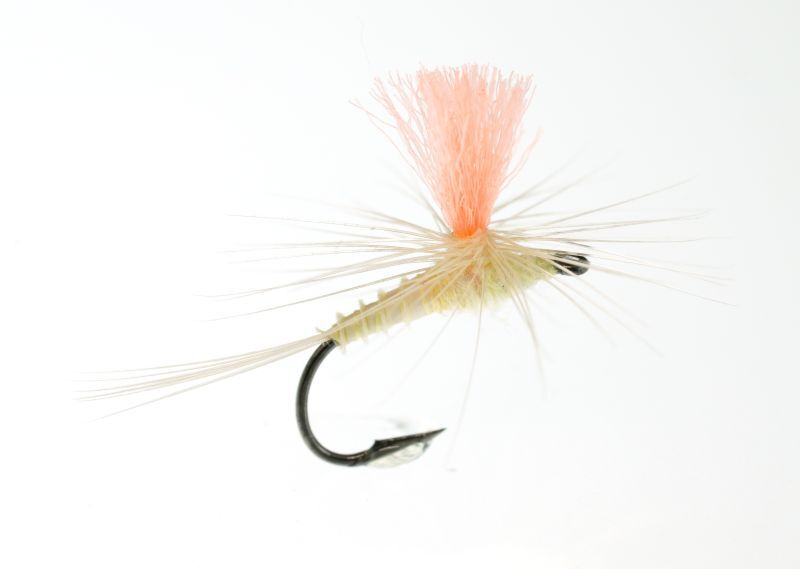 降落傘 - 渋谷直人 シブヤ パラダン