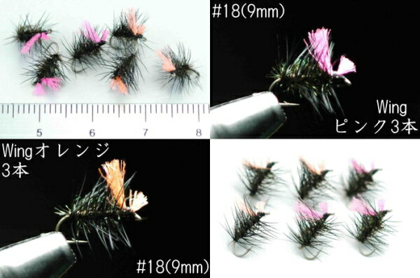 ADWグリフィスナット　ブラック　#18　6本セット