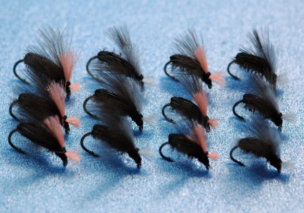 CDCスペントビートル　12本セット