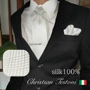 ネクタイ チーフ付 シルク100% Christian Testoni クリスチャンテストーニ グレー チェック柄 結婚式 パーティー 礼装 フォーマル 親戚 ...