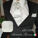 ネクタイ チーフ付 シルク100% Christian Testoni クリスチャンテストーニ グレー 総柄 結婚式 パーティー 礼装 フォーマル 親戚 mai...