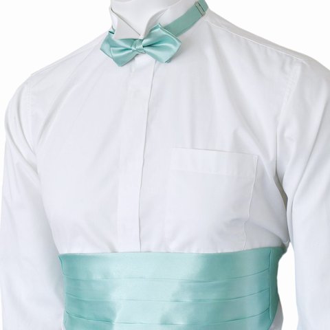 蝶 フォーマル ギフト プレゼント バレンタイン 父の日 卒業式 入学式 プレゼント ch-215 ミントグリー..