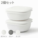 ライクイット 蒸気であたためる冷凍ごはん容器 2個組 【ポイント2倍】【日本製】【RCP】【店頭受取対応商品】