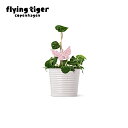【330円→165円】【SALE】【公式】植物ホルダー(バタフライ) 2個入 ガーデニング アクセサリー 庭 観葉植物 蝶 かわいい おしゃれ 7×7×9cm ...