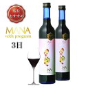 マナ酵素 2本 3日 ファスティング 酵素ドリンク プログラム付き 酵素 ダイエットドリンク mana 500ml ファスティングドリンク 人気 急上昇 送料無料