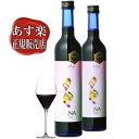 マナ酵素 2本 3日 ファスティング 酵素ドリンク プログラム付き 酵素 ダイエットドリンク mana 500ml ファスティングドリンク 人気 急..