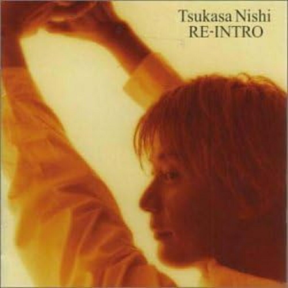 RE-INTORO ���� nishi tsukasa �˥��ĥ��� ˮ�� �ݥåץ� ���ƥ��ݥå� City Pop 90ǯ�� 90's ���� ���쥯�����������ƥ� ���������ܡ����ꥹ�� ���󥬡����󥰥饤���� ���ڴվ�