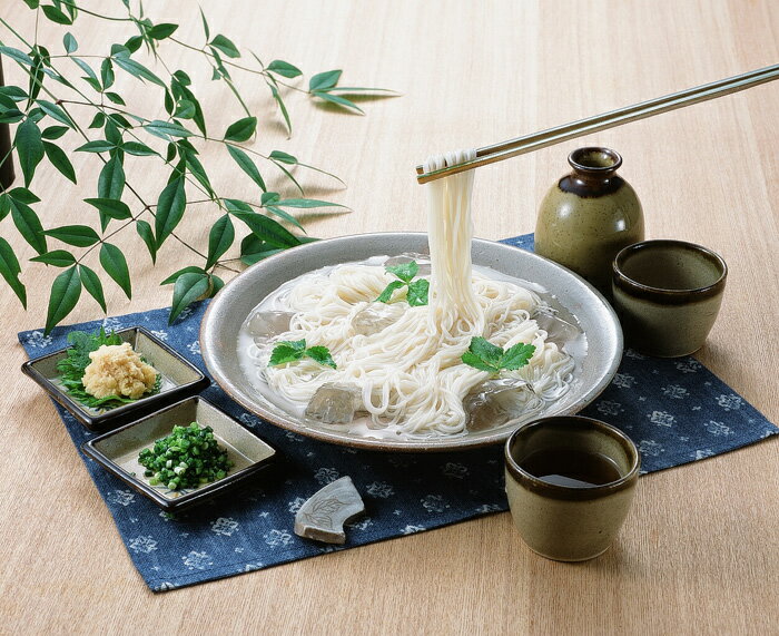 稲庭古来そうめん 850g ST-20 ｜ 秋田県 湯沢市 稲庭町 稲庭古来堂 稲庭そうめん いなにわ 名物 名産 逸品 手綯製法 乾麺 ギフト プレゼント 贈り物 3